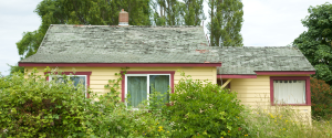 squatter vs trespasser in California