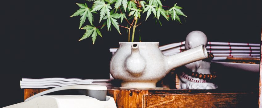 Cannabis Industry Primed for Growth in 2021