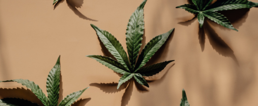 Cannabis Lending