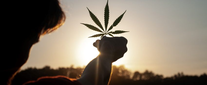 Cannabis Outlook in 2021