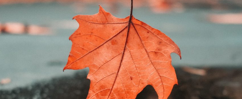 mariah-hewines-FP9EXI7Dj4k-unsplash