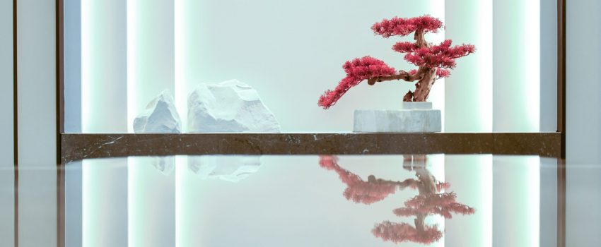 pesce-huang-VVDfUiSa7dE-unsplash