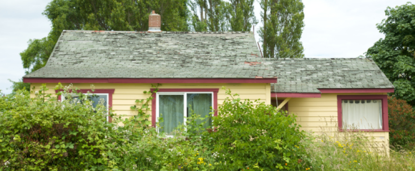 squatter vs trespasser in California
